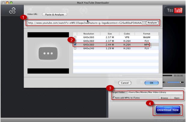Download YouTube Videos on Mac