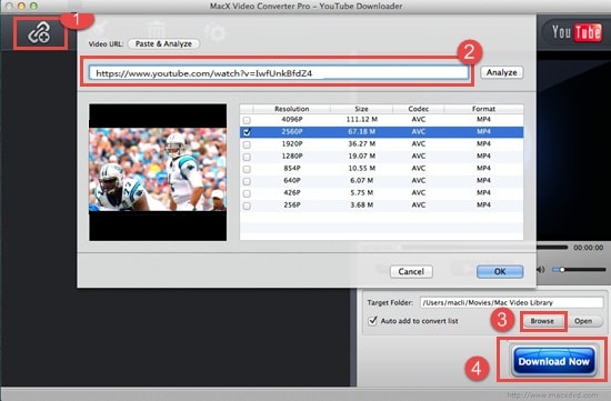 Download Pepsi Super Bowl Halftime Show on PC with MEmu