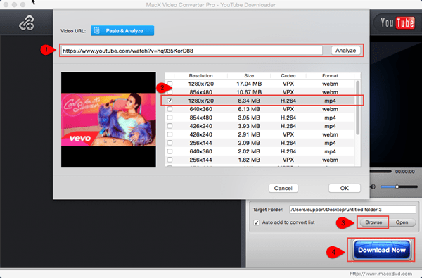 How To Download Videos From Popular Streaming Sites Using 4K Downloader -  MacTrast