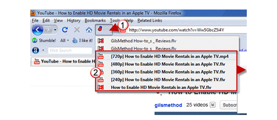 firefox video downloader extension