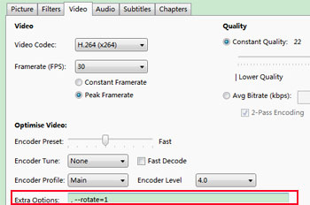 handbrake downsize video