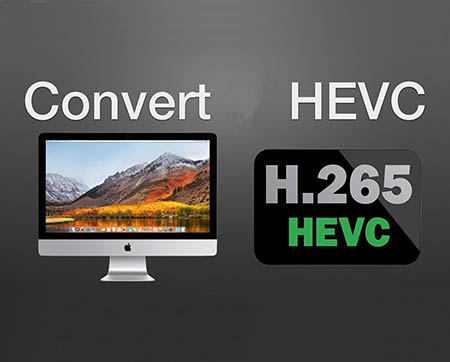 can vlc play hevc for mac