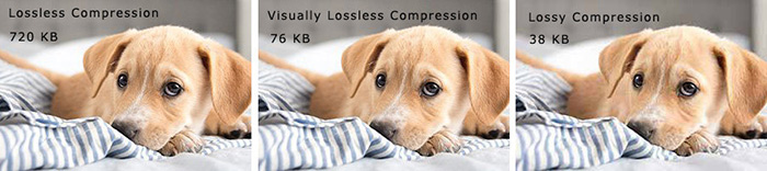 downloading 4K Image Compressor Pro